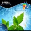 HERRLAN Menthol Aroma - 10ml