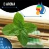 HERRLAN Spearmint Aroma - 10ml