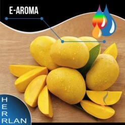 HERRLAN Mango Aroma - 10ml