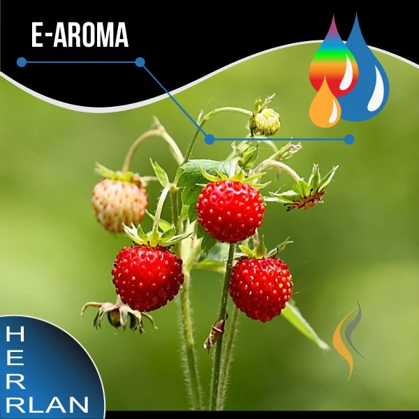 HERRLAN Walderdbeere Aroma - 10ml 1 HERRLAN Walderdbeere Aroma - 10ml