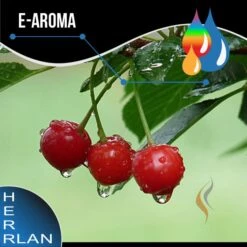 HERRLAN Wildkirsche Aroma - 10ml