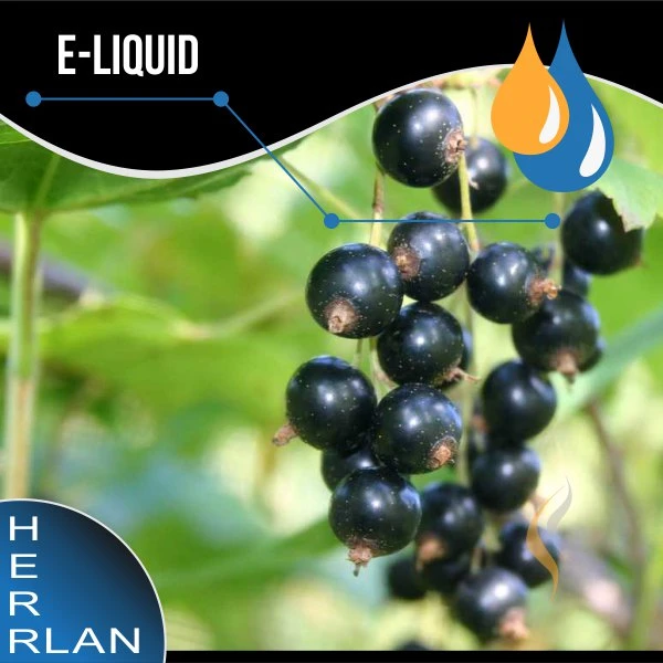 HERRLAN Johannisbeere Cassis Liquid 1 HERRLAN Johannisbeere Cassis Liquid
