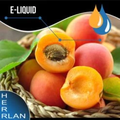 HERRLAN Aprikose Liquid