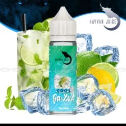 HAYVAN JUICE Ga-Zoz Cool Aroma - 10 Ml
