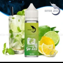 HAYVAN JUICE Ga-Zoz Aroma - 10 Ml