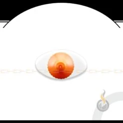 50 Ml E-Liquid Flach-Flasche Dropper -VapeZone Deutschland zazo e liquid flach flasche dropper 1